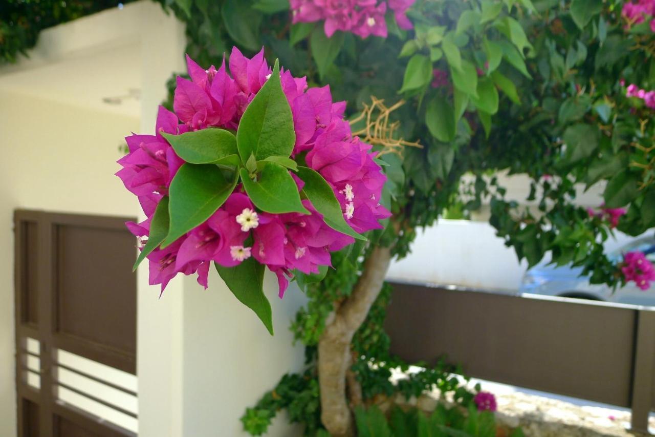 Maria & Manos Guest House, Agios Onoufrios Beach Exteriör bild